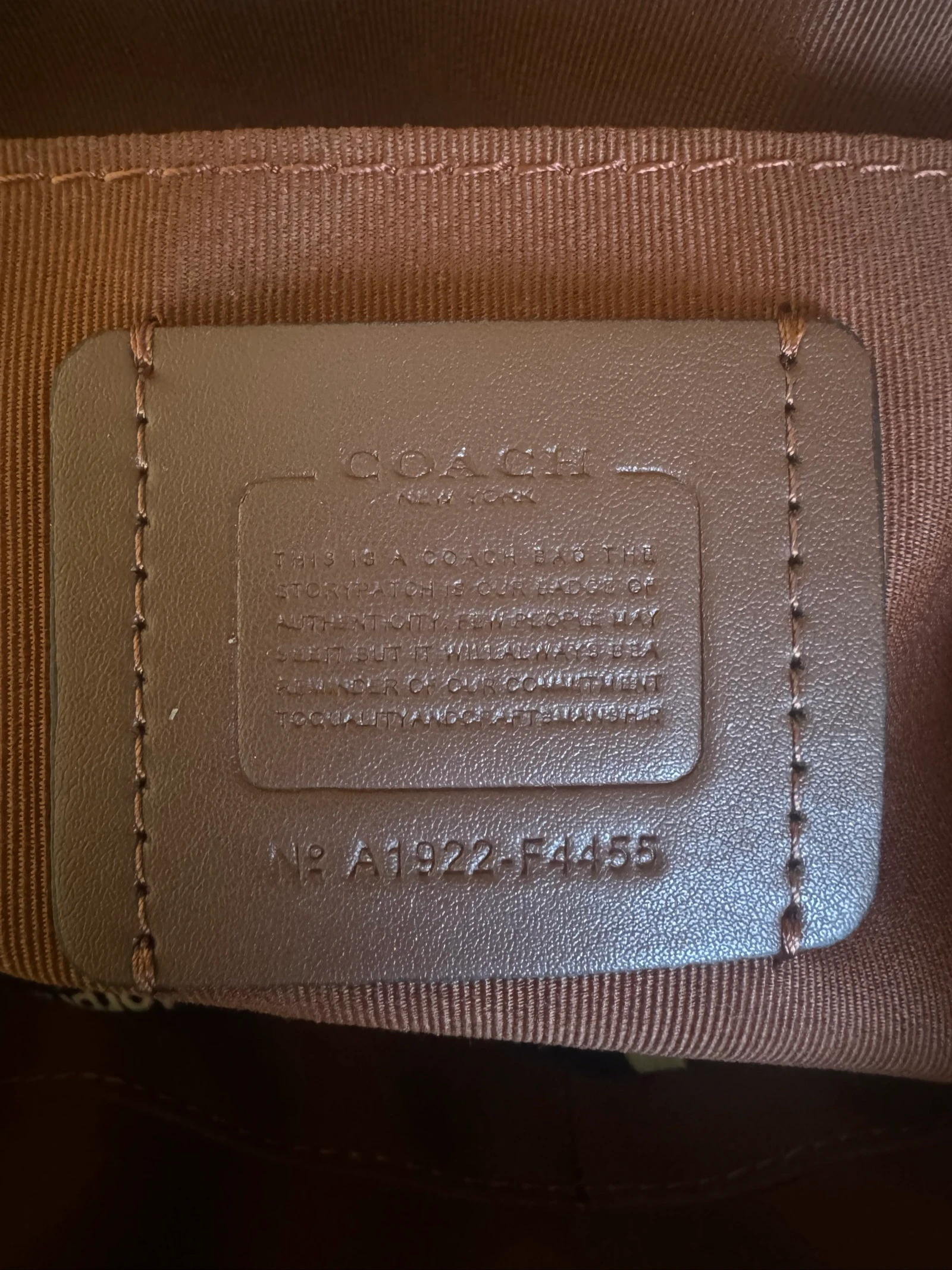Saco coach – photo 4